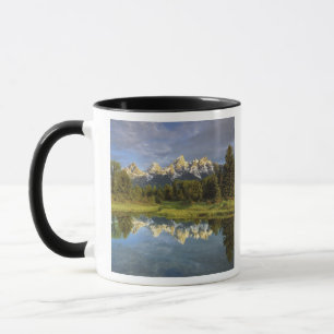 Taza EE. UU., Wyoming, Parque Nacional Grand Teton. Gra