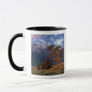 Taza EE. UU., Wyoming, Parque Nacional Grand Teton. Un 