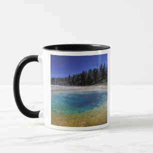 Taza EE. UU., Wyoming, Parque Nacional Yellowstone. 2
