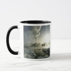 Taza EE. UU., Wyoming, Parque Nacional Yellowstone. Ama