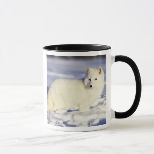 Taza EEUU, Alaska. Pezón ártico en abrigo de invierno
