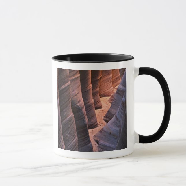 Taza EEUU, Utah, Escalante. Piedra arenisca repetitiva (Derecha)