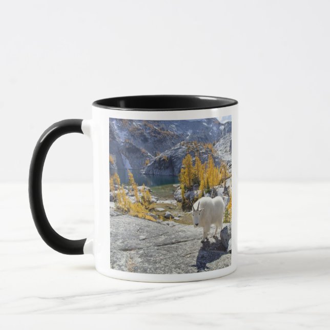 Taza EEUU, WA, los lagos alpinos y los encantos de la m (Izquierda)