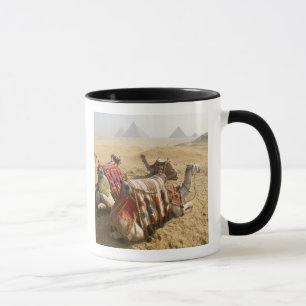 Taza Egipto, El Cairo. Restos de camellos