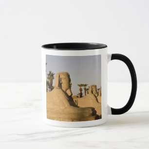 Taza Egipto, Luxor. La Avenida de las Esfinges conduce
