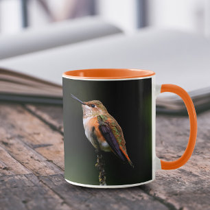 Taza El Adorable Hummingbird Rufous en una rama