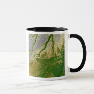 Taza El Amazonas boliviano
