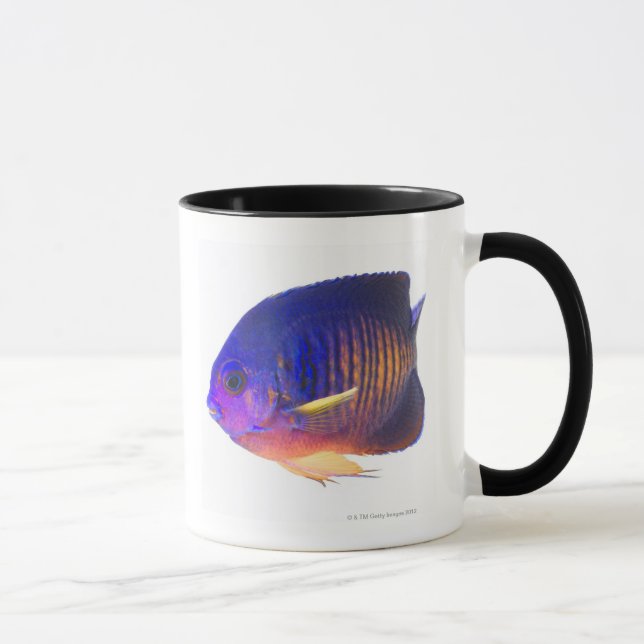 Taza El angelfish two-spined (Derecha)