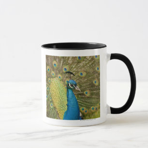 Taza El apuntalar del pavo real