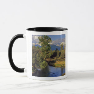 Taza El arroyo de la Misión en la Cordillera Nacional 
