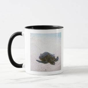 Taza El borde del agua