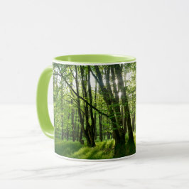 Taza El bosque en la primavera