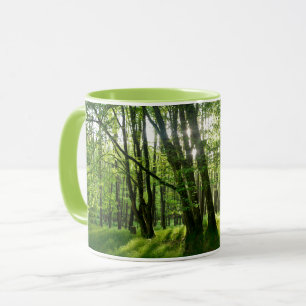 Taza El bosque en la primavera