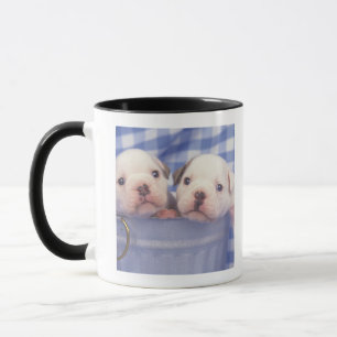 Taza El bulldog, a menudo llamado el bulldog inglés,