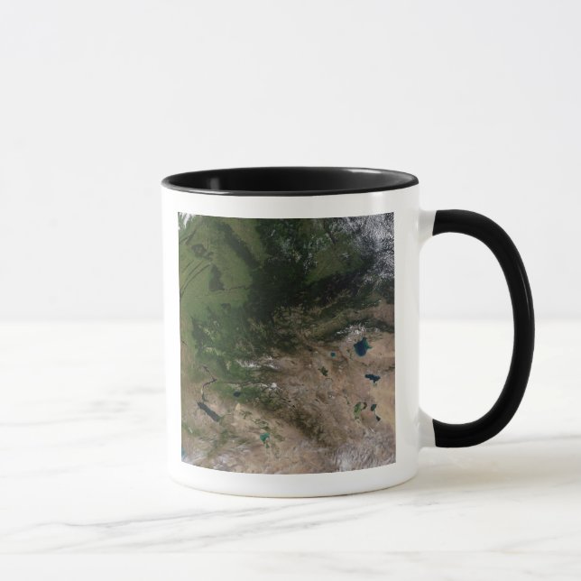 Taza El cambio de vegetación (Derecha)