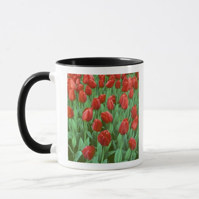 Taza El campo tulipán florece en primavera. (Izquierda)