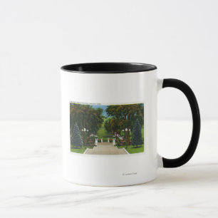 Taza El capitolio camina vista del parque de estado