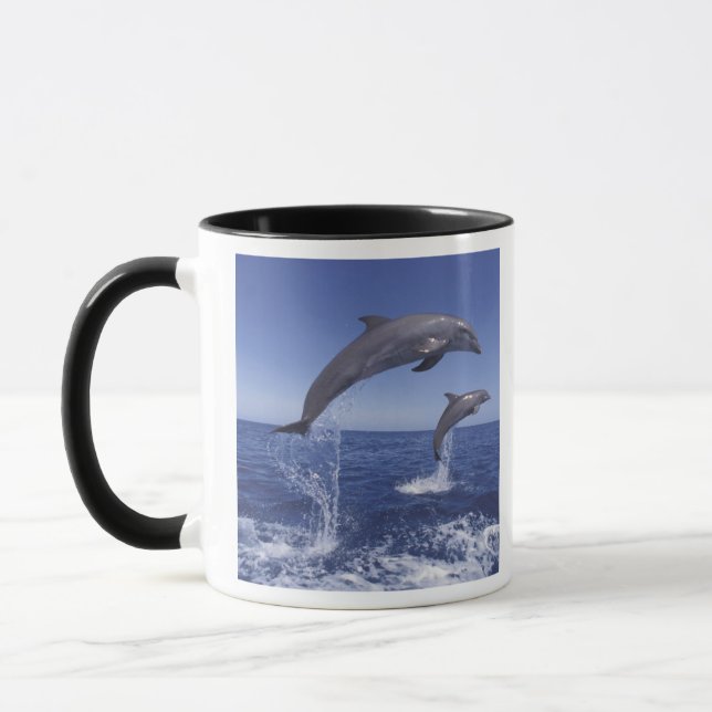 Taza El Caribe, delfines botellas (Izquierda)
