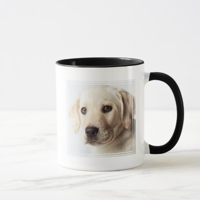 Taza El cierre de la cachorro de Labrador dorado (Derecha)