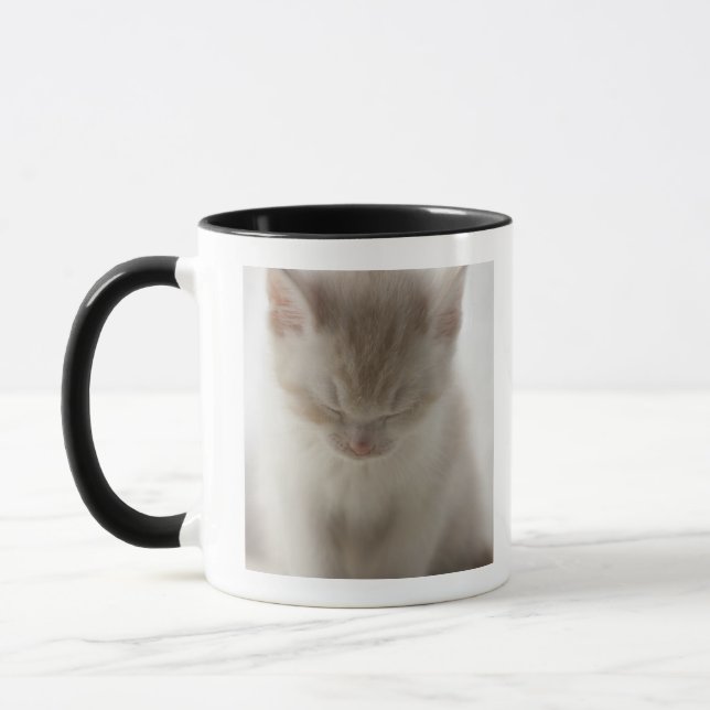 Taza El dormir cansado del gatito (Izquierda)
