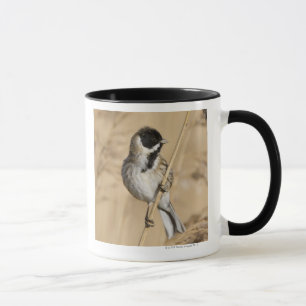 Taza El empavesado de lámina (schoeniclus del Emberiza