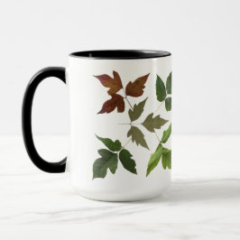 Taza El envenenamiento Ivy deja diseño de hojas botánic