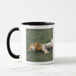 Taza El estirar masculino del león
