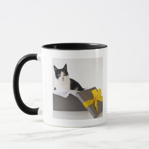 Taza El estudio tiró de gato blanco y negro en caja de