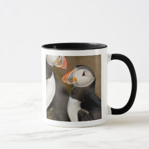 Taza El frailecillo atlántico