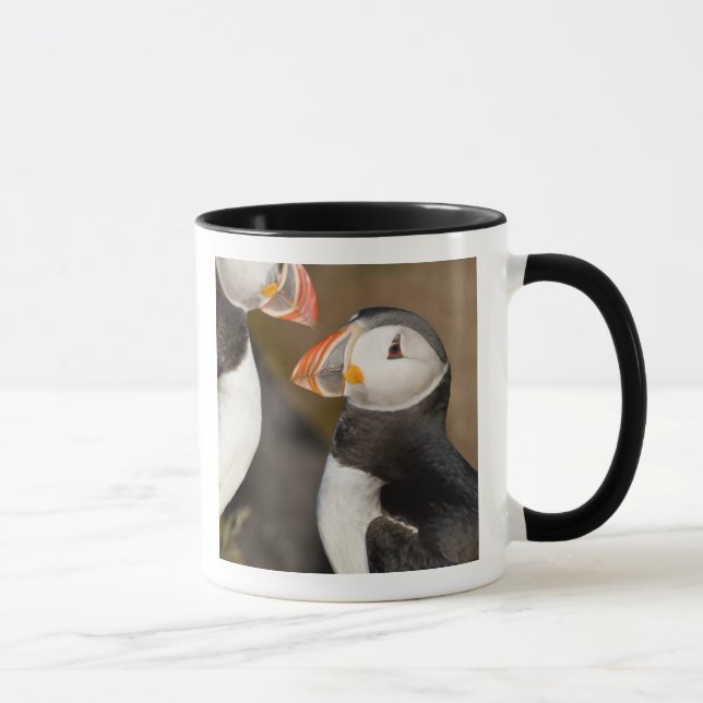 Taza El frailecillo atlántico (Derecha)