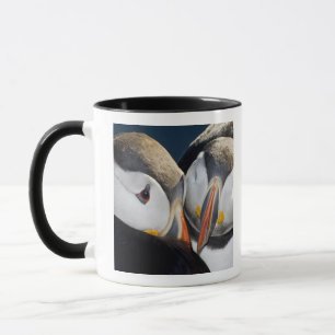 Taza El frailecillo atlántico, un ave marina pelágica