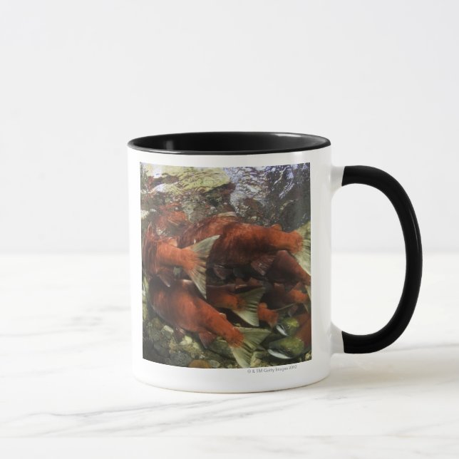 Taza El funcionamiento del sockeye del río de Adams es (Derecha)
