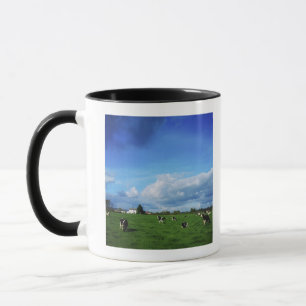 Taza El ganado del Holstein-frisón acerca a Thurles, C