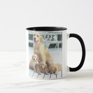 Taza El golden retriever es un relativamente moderno y