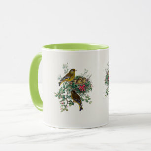 Taza El Greenfinch europeo