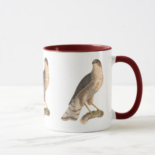 Taza El Halcón de pizarra (fuscus astur)