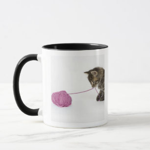 Taza El jugar joven del gatito del tabby