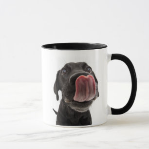 Taza El labrador negro toca la nariz