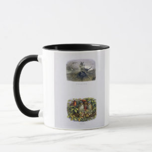 Taza El mensajero de la reina de hadas, y duende y