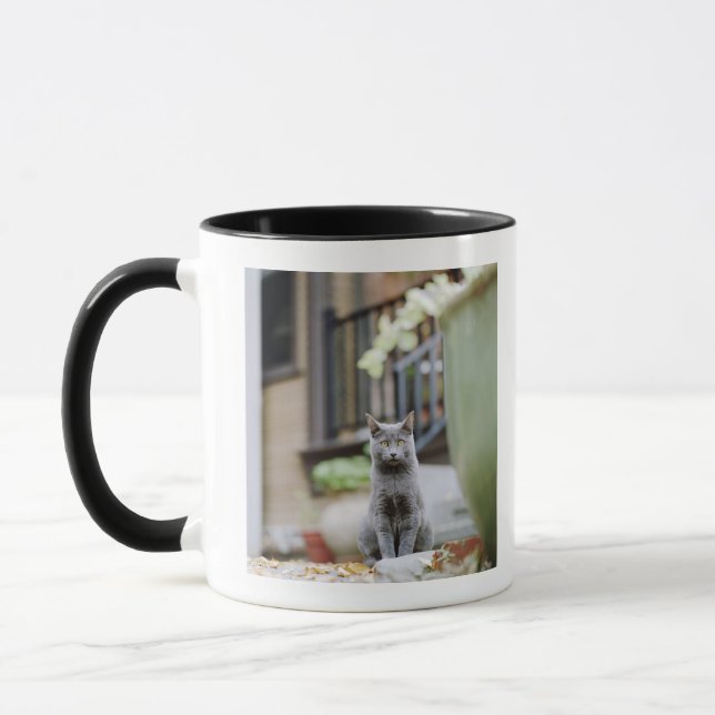 Taza El mirar fijamente del gato (Izquierda)
