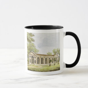 Taza El naranjal, Kew cultiva un huerto, platea 11 de