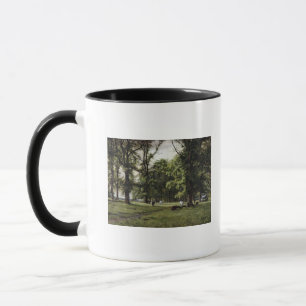 Taza El paseo del olmo