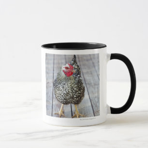Taza El pollo en la cubierta de madera, platea