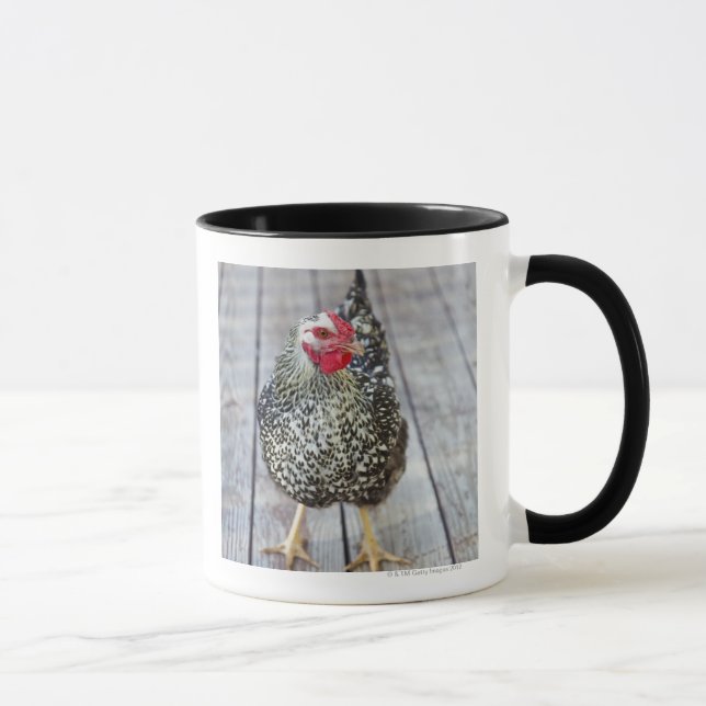 Taza El pollo en la cubierta de madera, platea (Derecha)