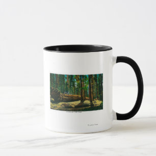 Taza El registro automático en bosque gigante, secuoyas
