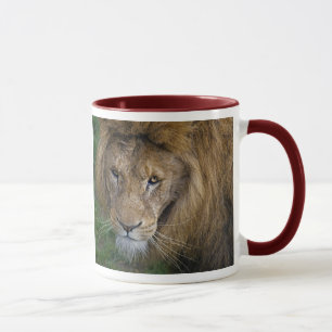 Taza El Rey Mug