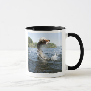 Taza El saltar del lucio europeo del agua en un lago