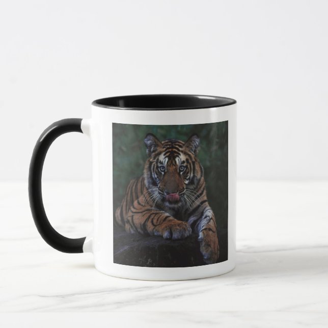 Taza El tigre Cub descansa en roca (Izquierda)