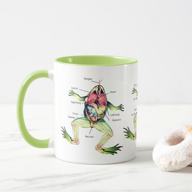 Taza El verde del Ilustracion de anatomía de la rana (Con donut)