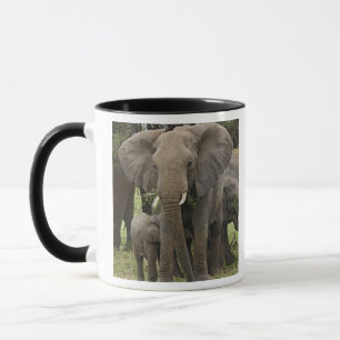 Taza Elefante africano Manada